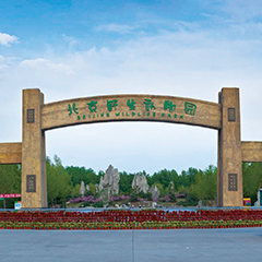 CQ9电子游戏(中国集团)官方网站